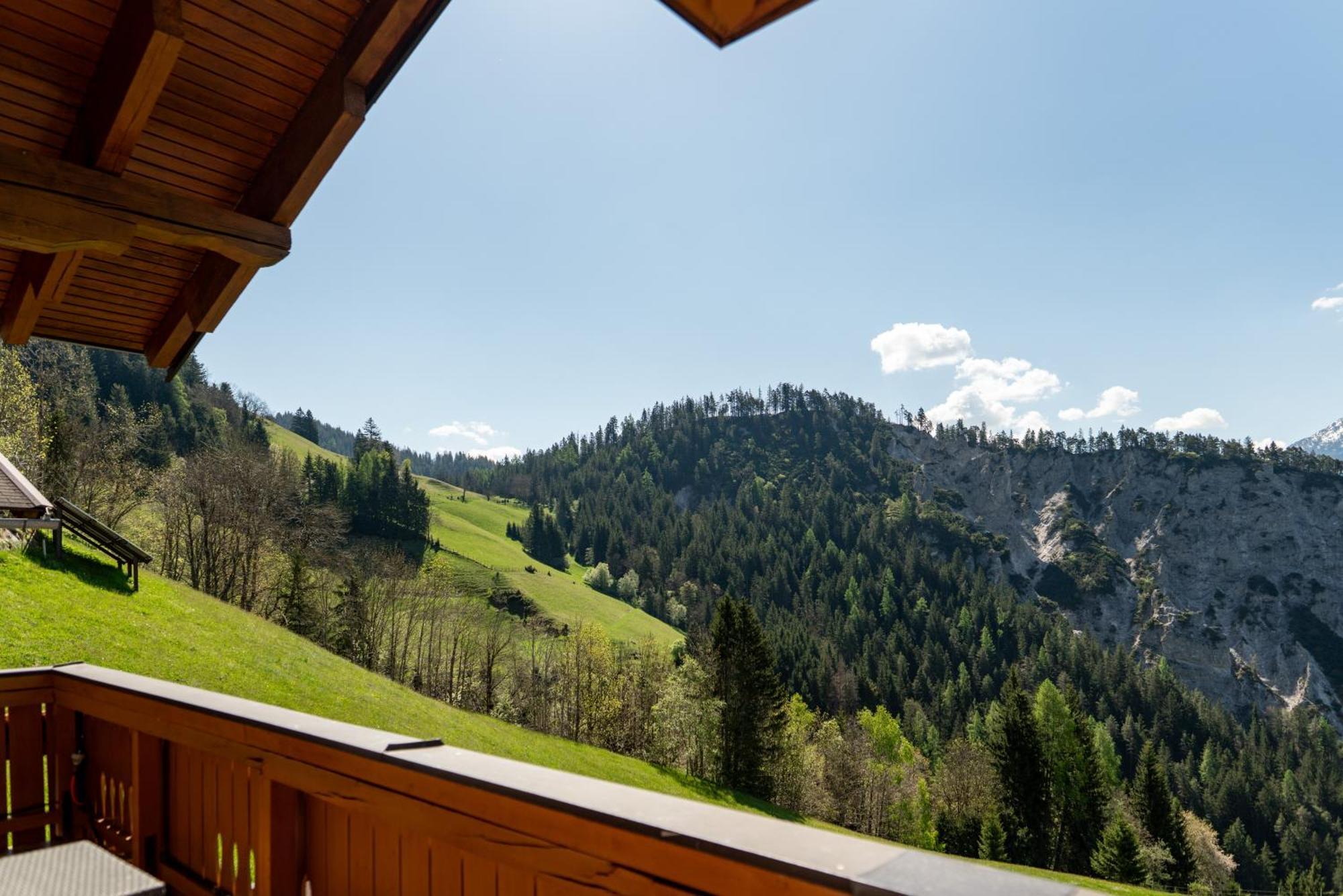 Pension Bergbauernhof Irxner Pichl-Preunegg Exterior foto